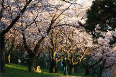 photo 0018